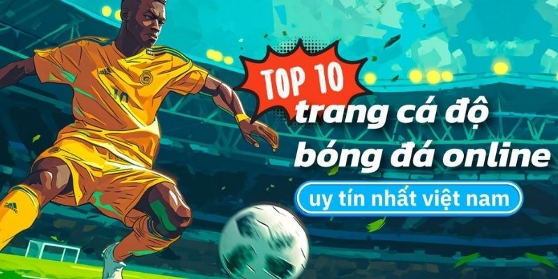 Trang web này được thiết kế hiện đại, tối ưu cho người dùng Việt Nam