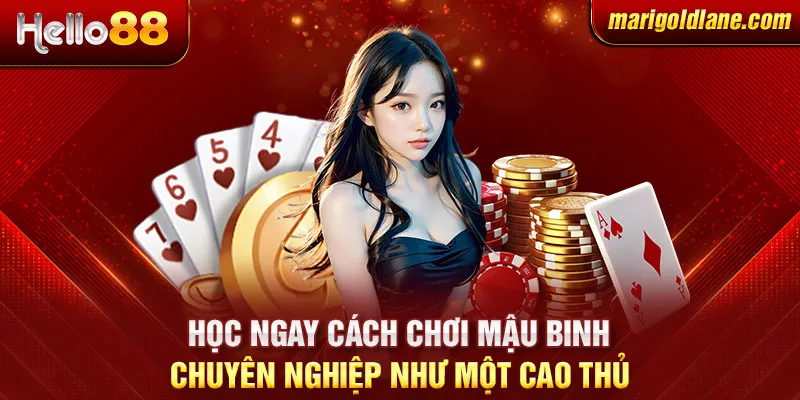 Học ngay cách chơi Mậu Binh chuyên nghiệp như một cao thủ