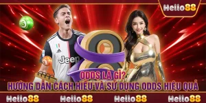 Odds là gì? Hướng dẫn cách hiểu và sử dụng odds hiệu quả